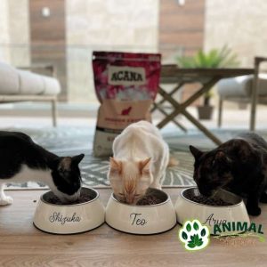 Acana hrana za mačke koje veći deo dana provode u kući Indoor Entree - Animal Nature