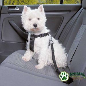 Bezbednosni set Am i povodac za pse za automobil Trixie - Animal Nature