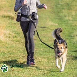 Hands free povodac za pse za trčanje sa postavljanjem oko struka, dužina povoca 1m-1,3m Trixie