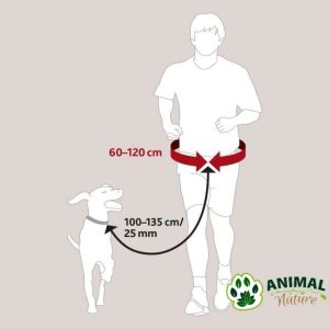 Hands free povodac za pse za trčanje sa postavljanjem oko struka, dužina povoca 1m-1,3m Trixie