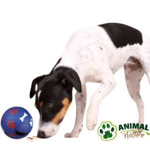 Igračka loptica za pse sa otvorom za poslastice - Animal Nature