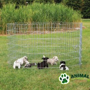Metalna ograda za štence - Animal Nature