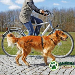 Povodac za bicikl i trčanje za pse, dužina povoca 1m-2m Trixie - Animal Nature