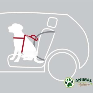 Sigurnosni Am za pse za kola Trixie - Animal Nature
